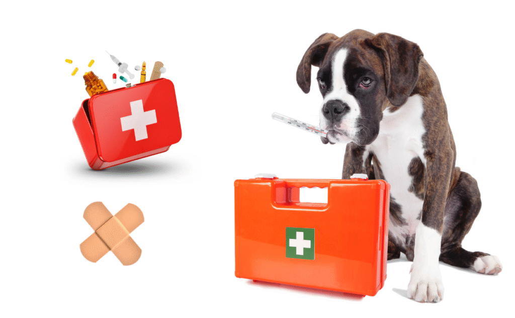 Pet First Aid Kit