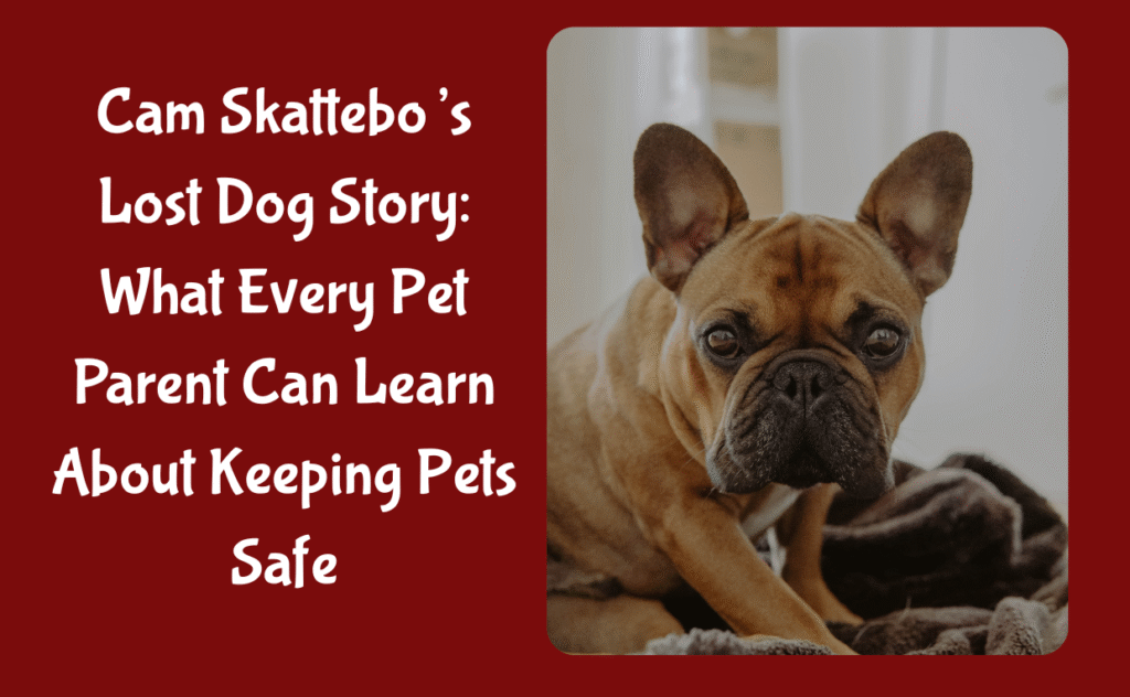 Cam Skattebo lost dog and Pet Safety