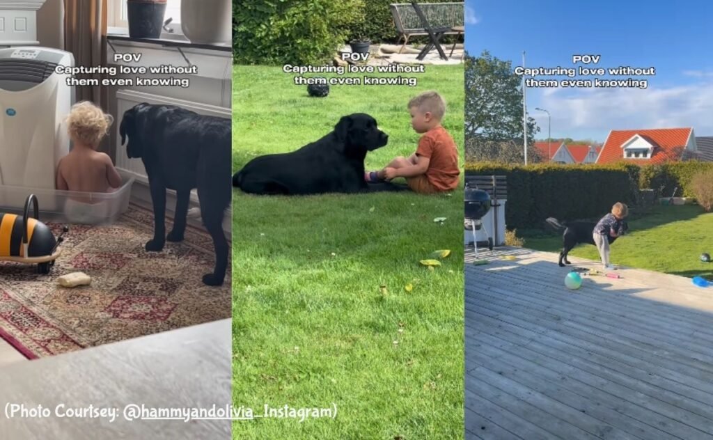 Dog and Child
