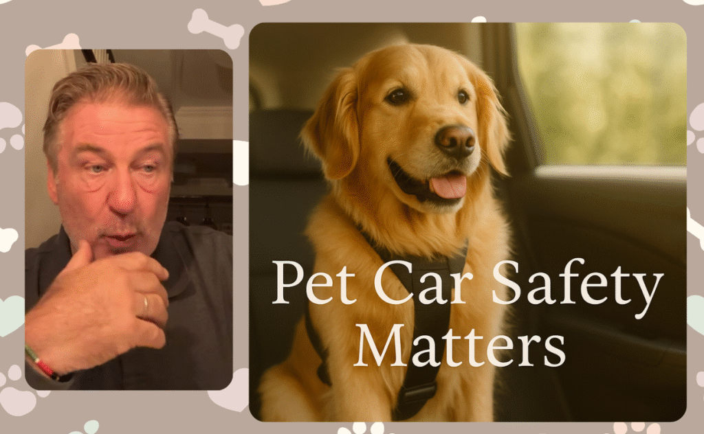 Car Safety