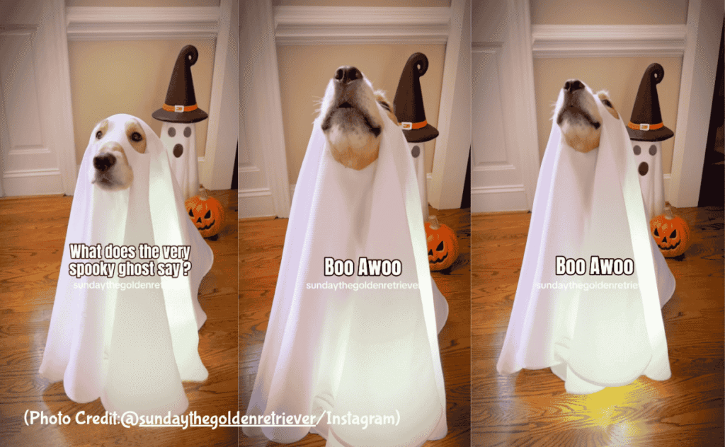 Cute Ghost