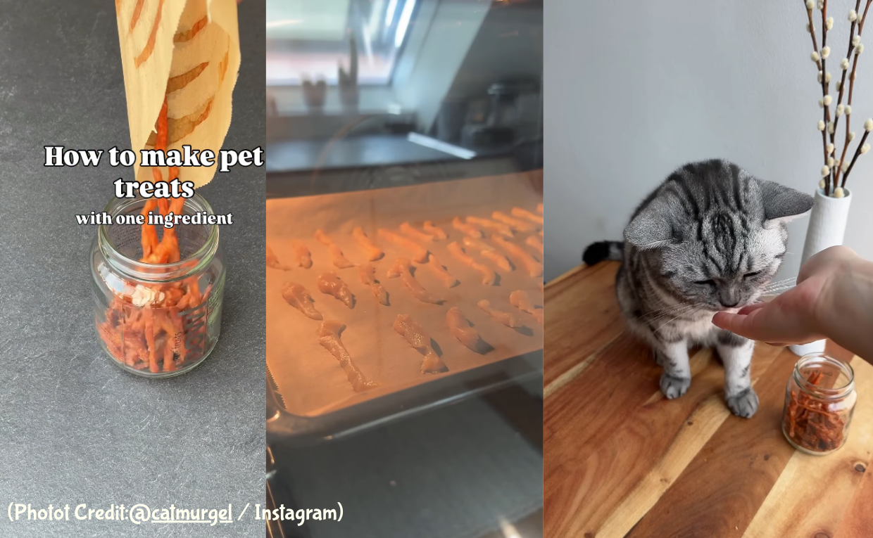 Homemade Cat Food