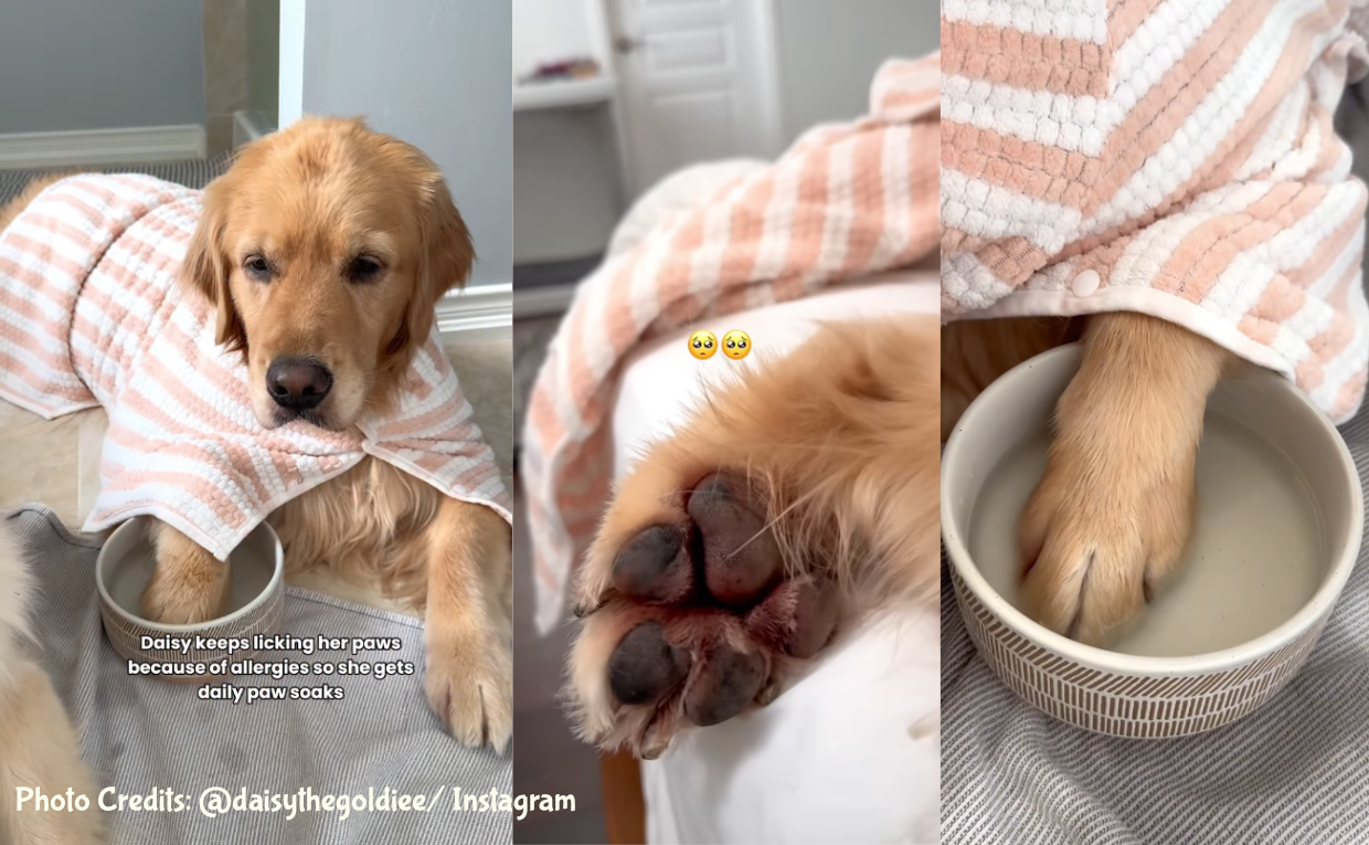 Skin Allergy Treatment