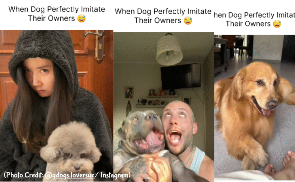 Dog Imitates Owner