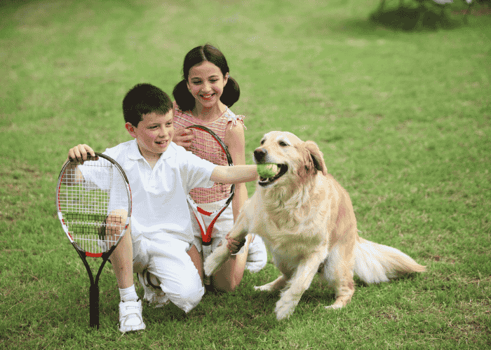Golden retriver with childern