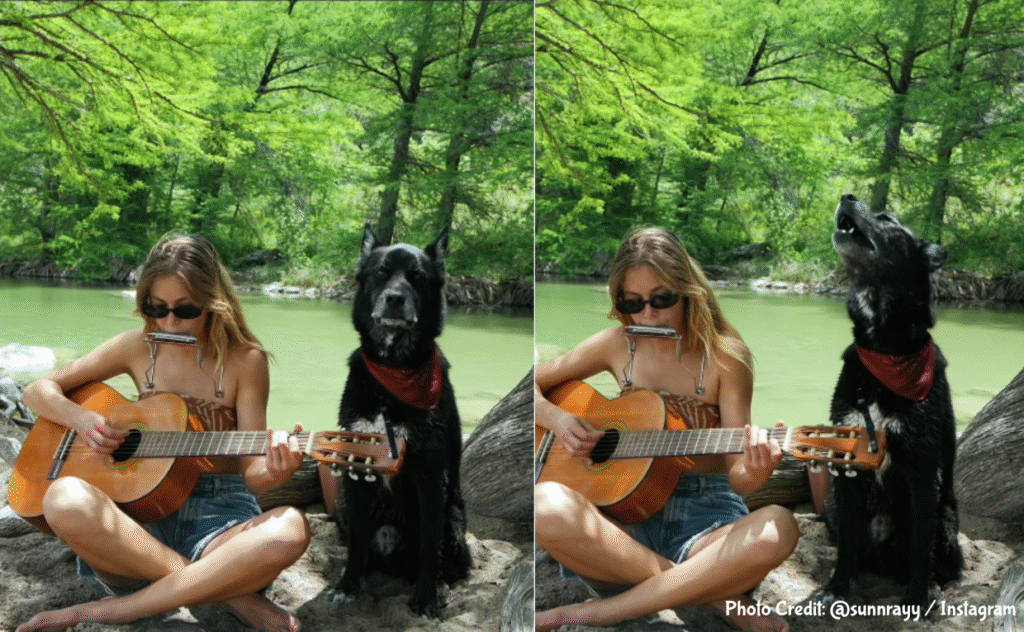 Dog Sings with Mom