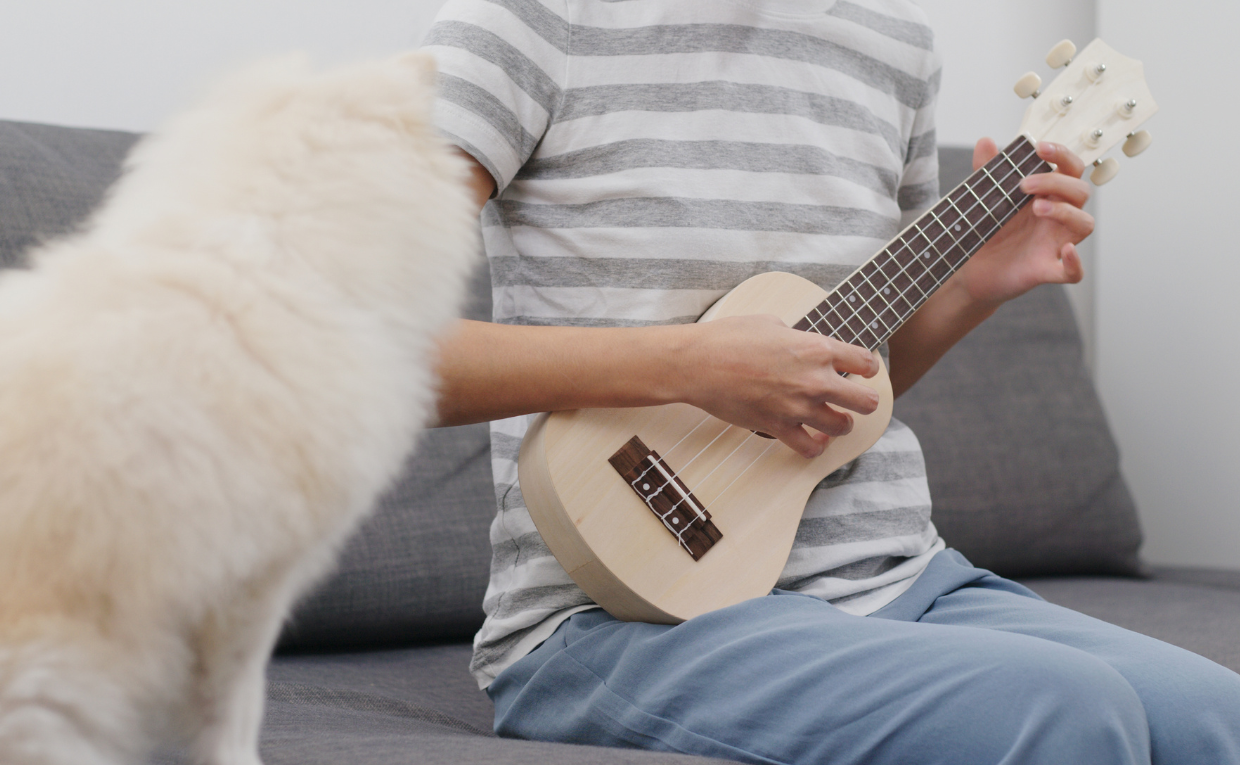 Pet enjoying Music