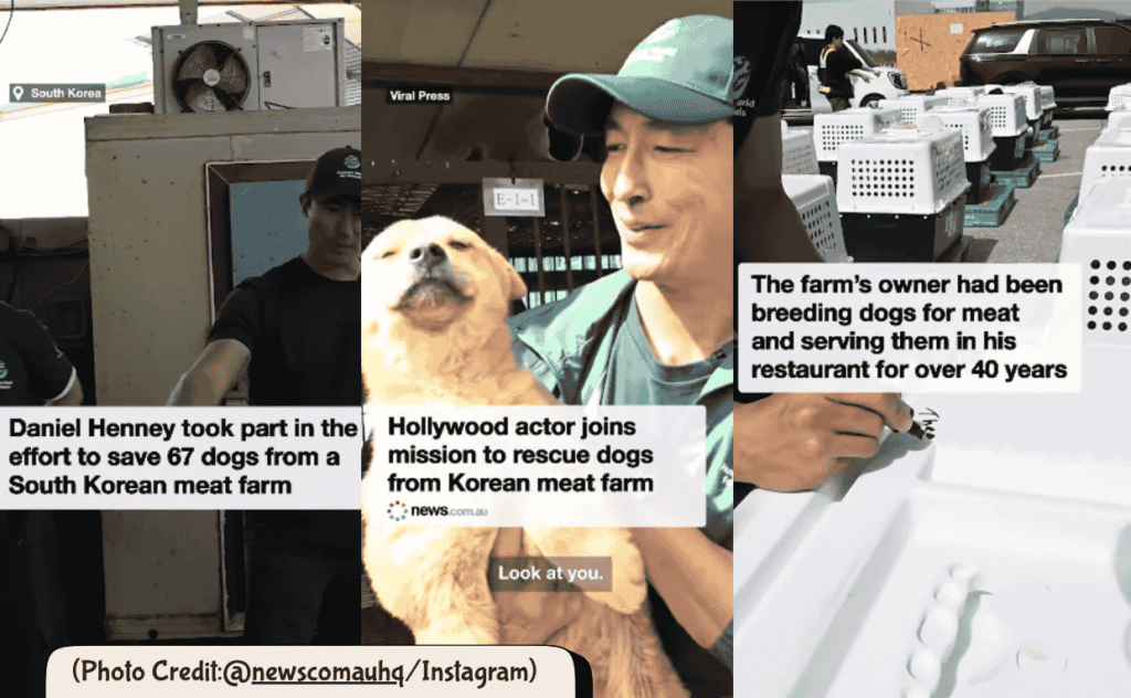 Daniel Henney