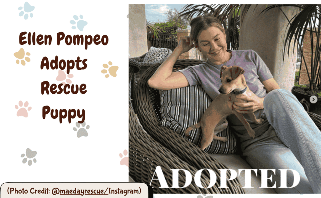 Ellen Pompo Adops rescue puppy