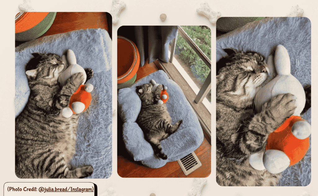 Julia Naps