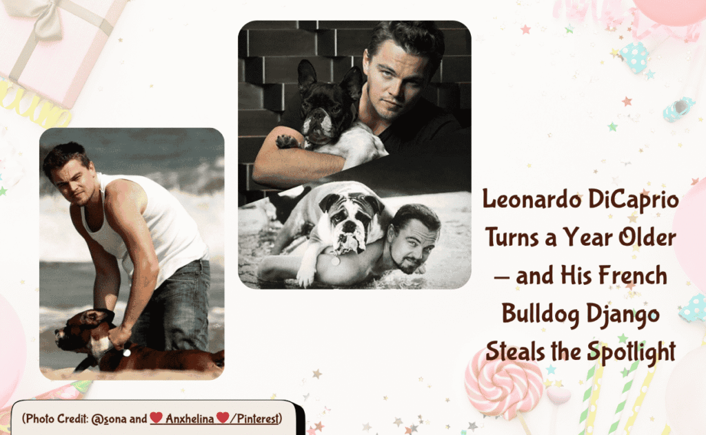 Leonardo Decaprio and French Bulldog