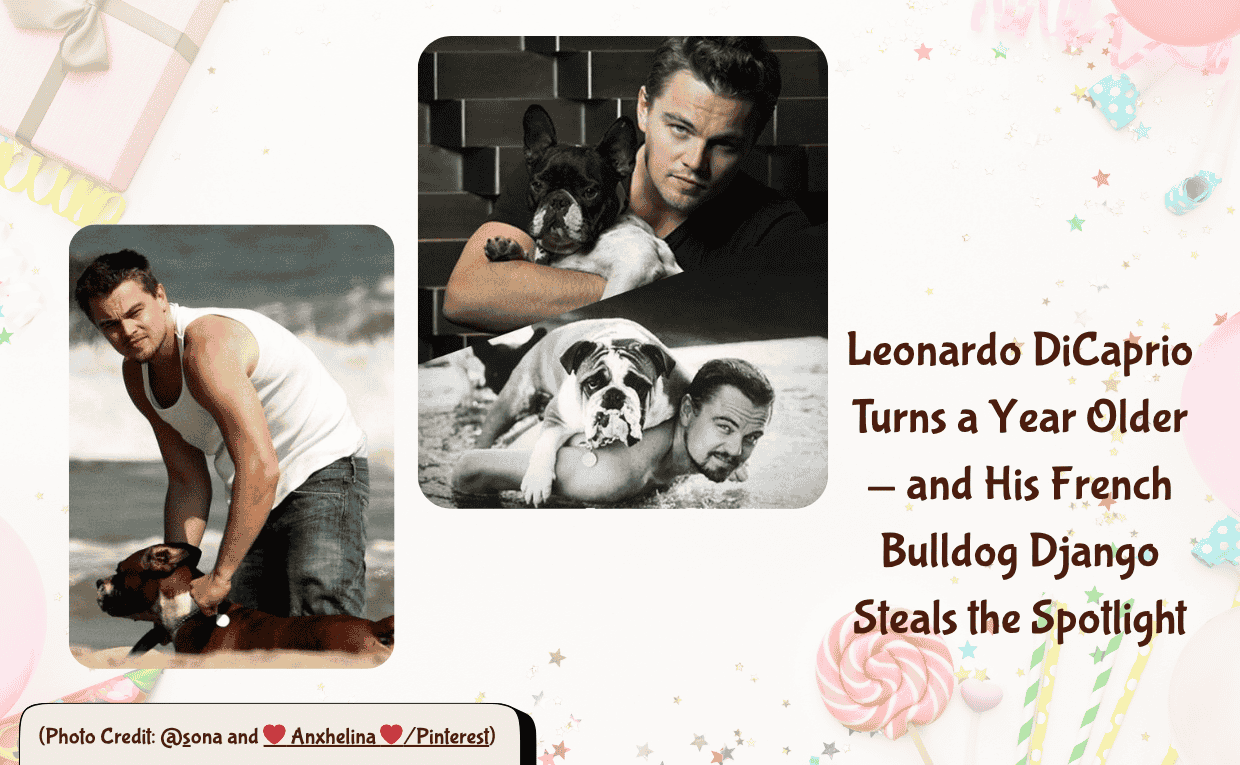 Leonardo Decaprio and French Bulldog