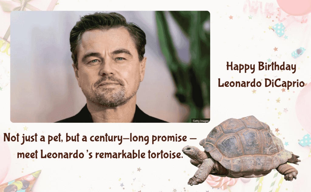 Leonardo Decaprio and Tortoise