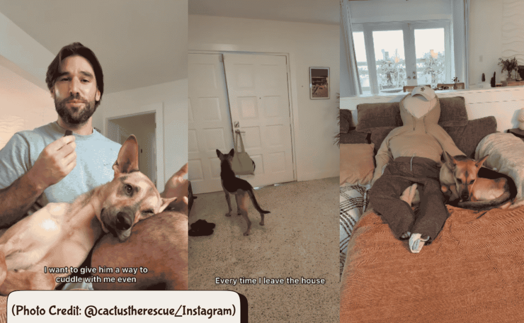 Owners Trick for Dog
