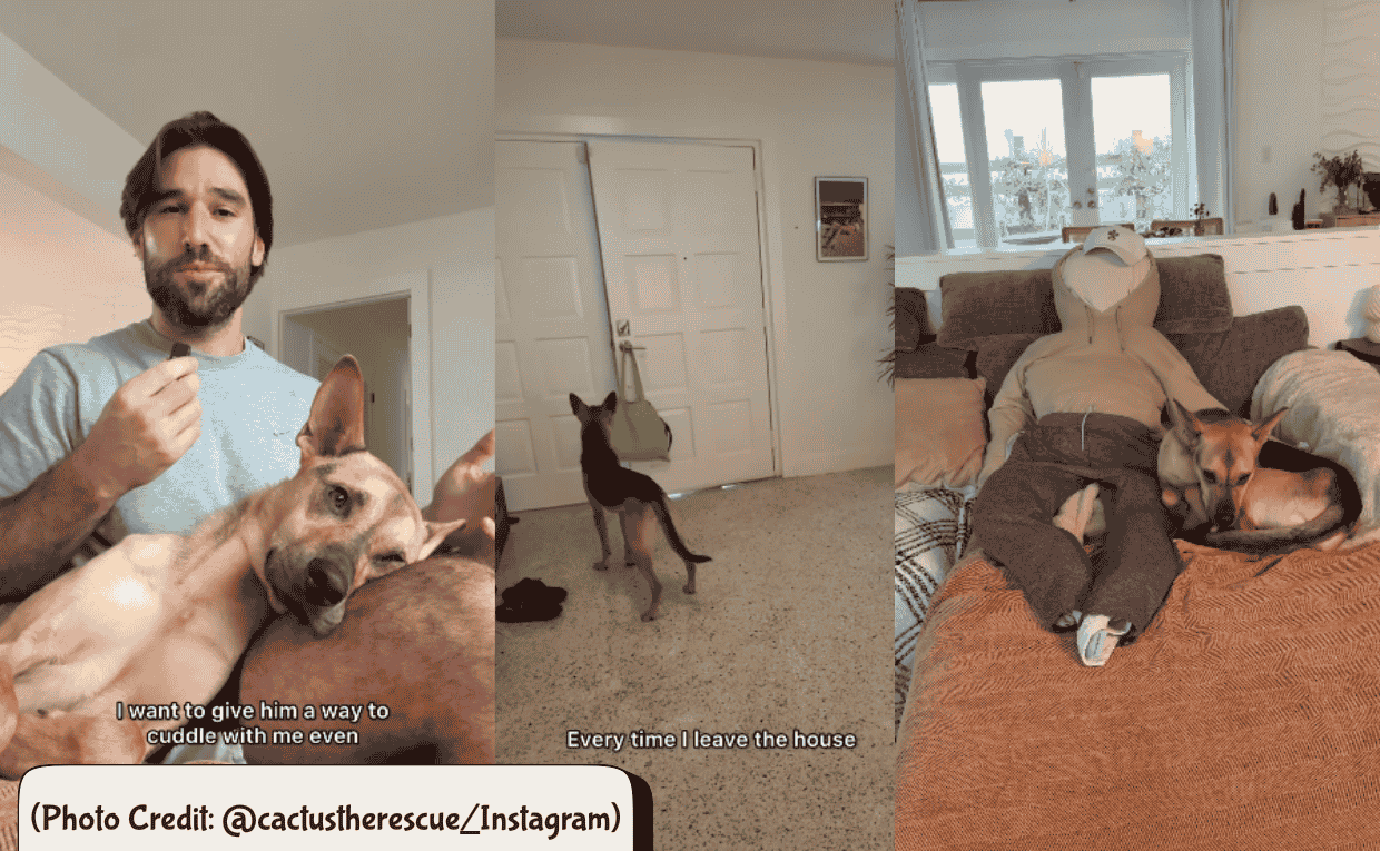 Owners Trick for Dog