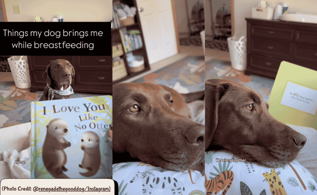 Storytime with Dog