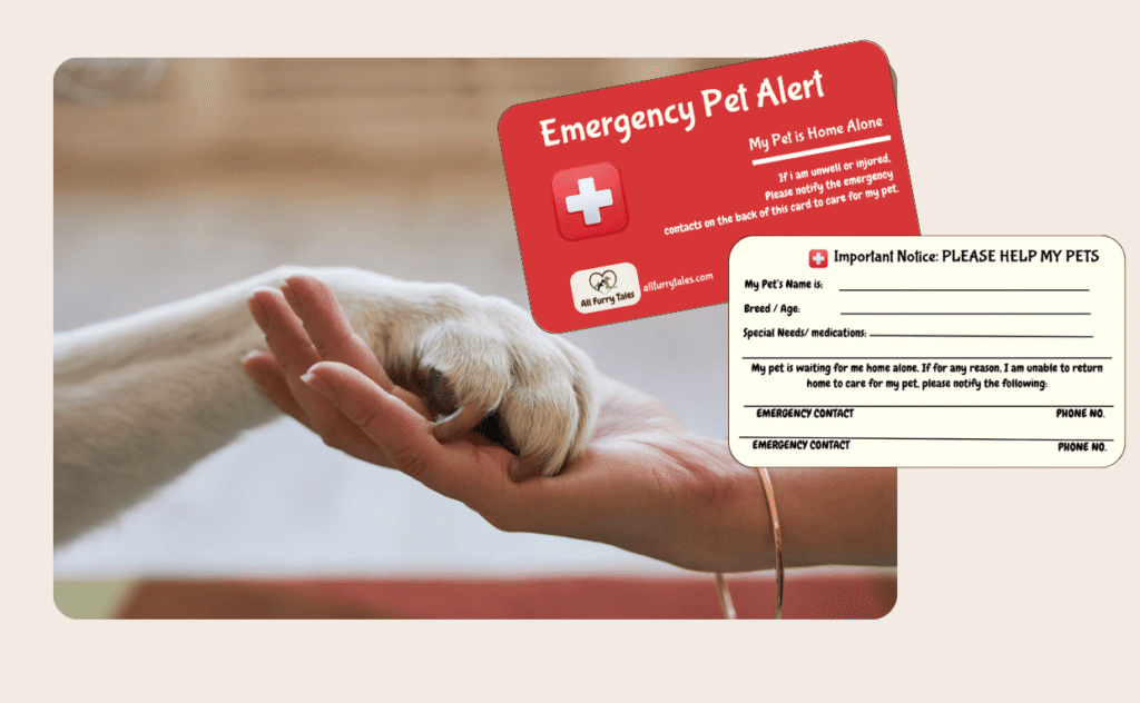 Blog for Pet Alert Card