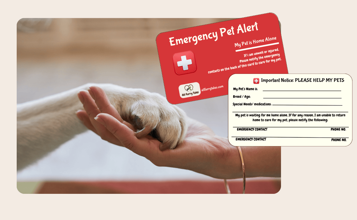 Blog for Pet Alert Card