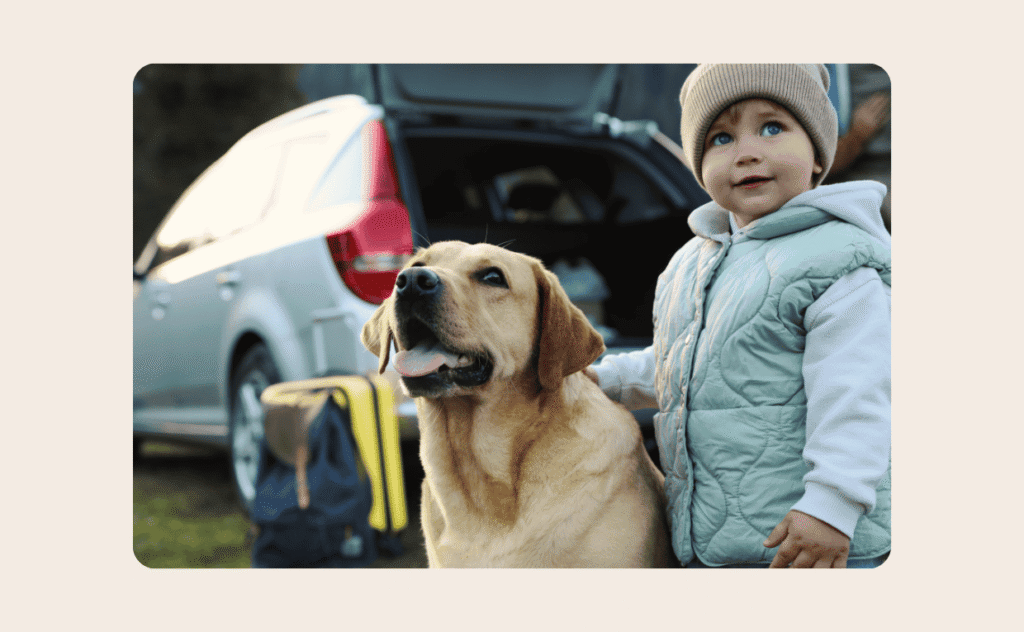 Travelling with pets