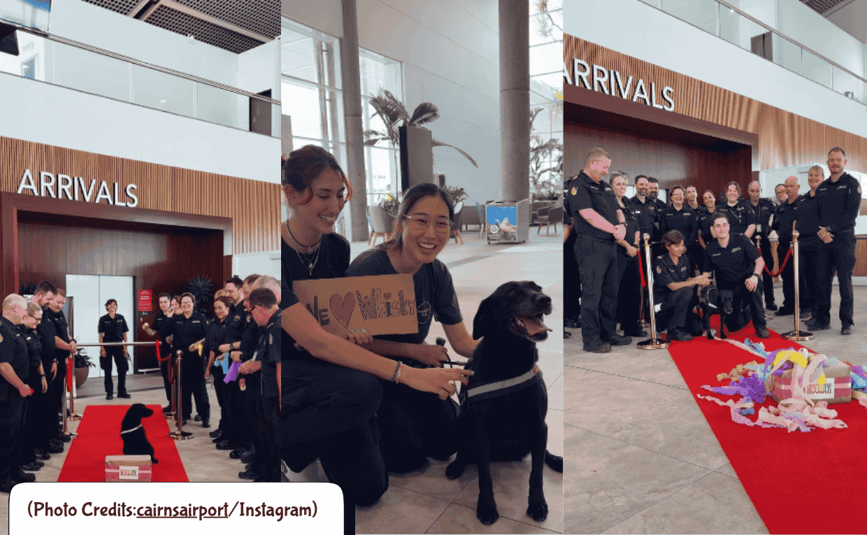 Dog Retires from Airport Service