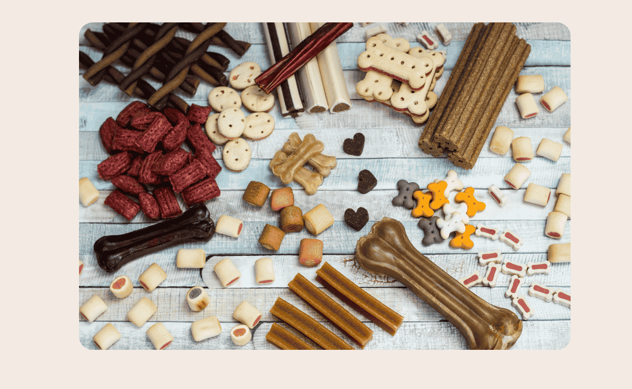 Pet Christmas Treets