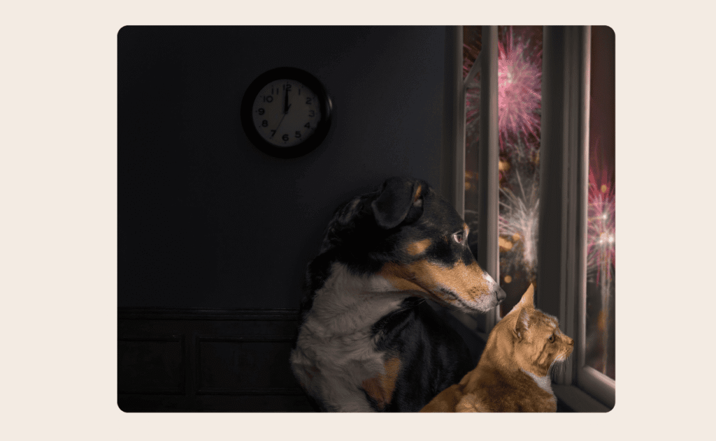 Dogs and Fireworks