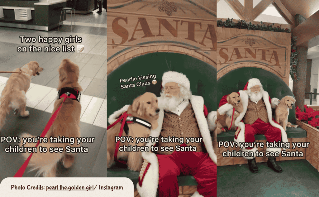 Taylor Swift and Pets