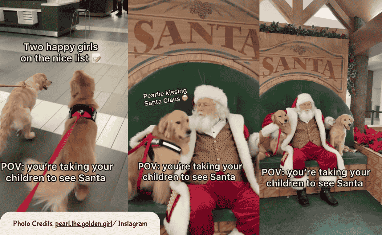 Taylor Swift and Pets