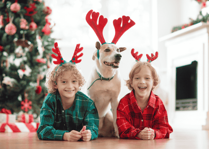 Kids and Pets at Christmas