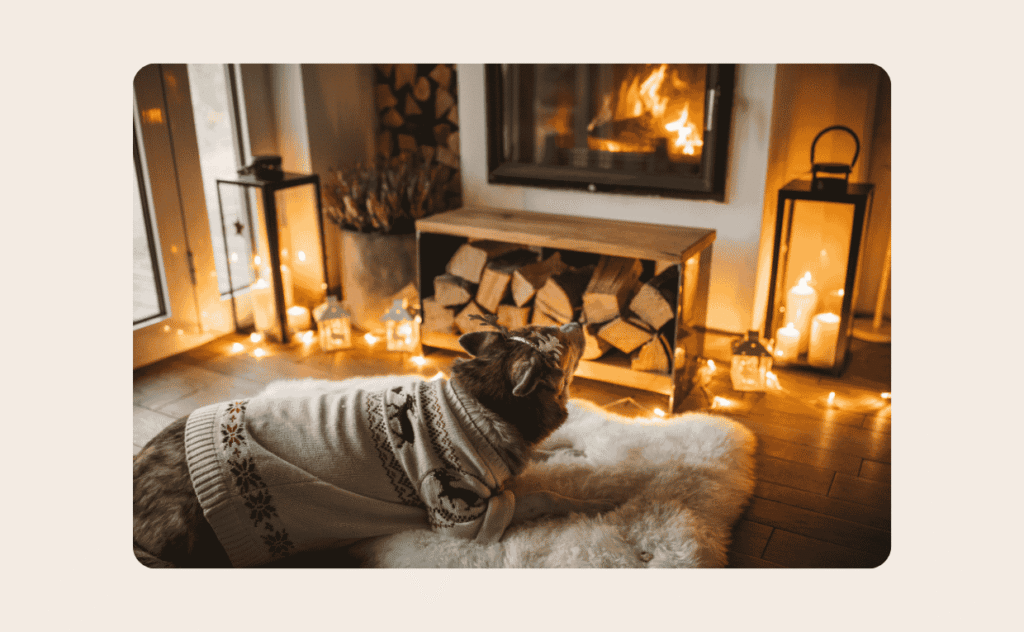 Pet Winter Essentials
