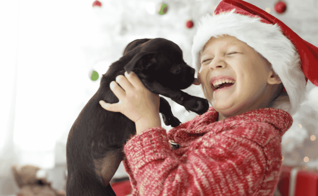 Pets and Children on Christmas