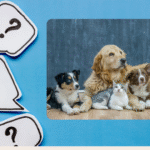Most Googled Pet Questions