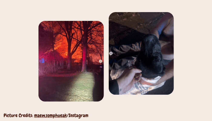 Dog Rescued From Kennel Moments Before Flames Engulf Home